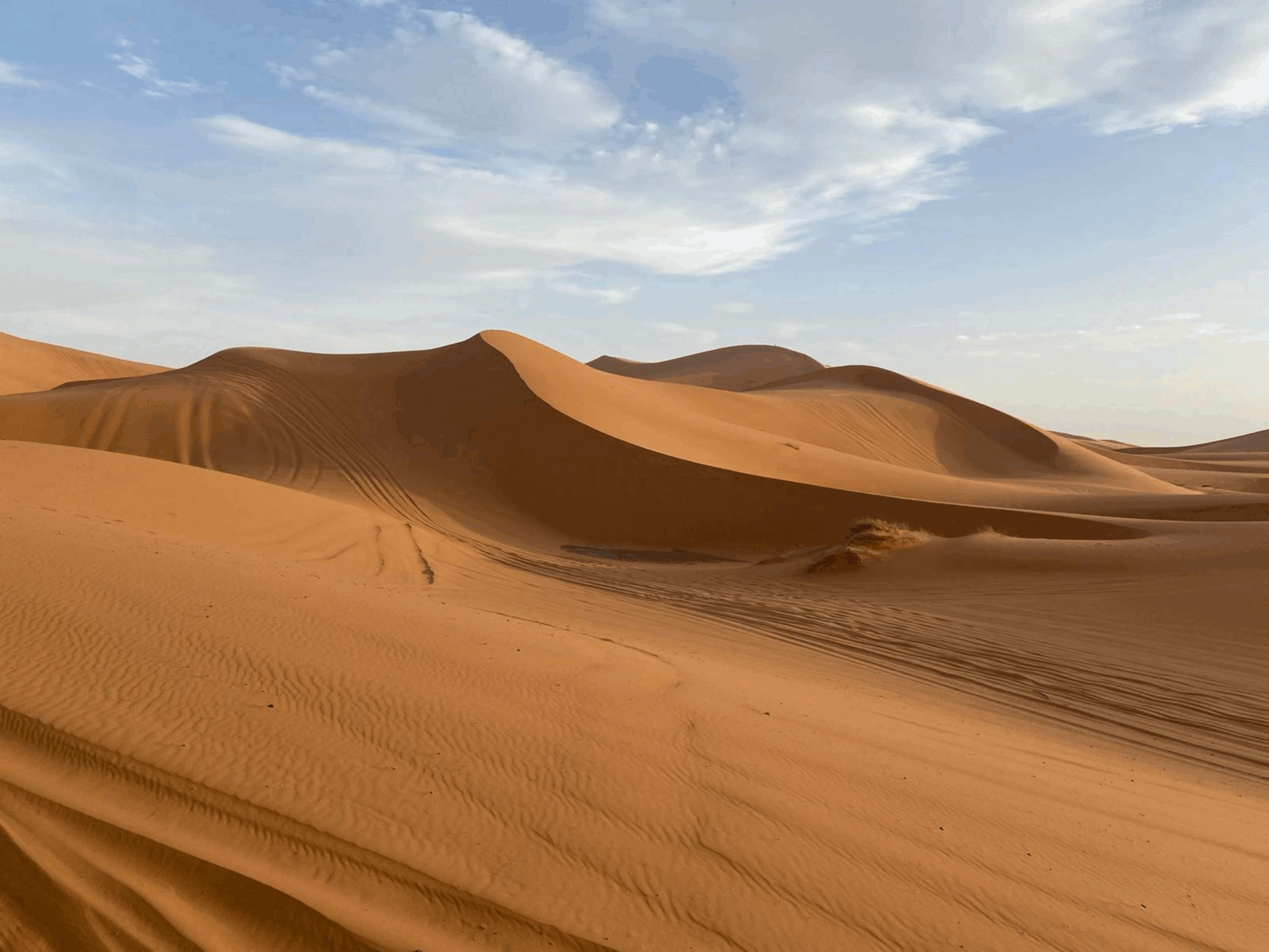Séjour Sahara — Être Femme d’Influence