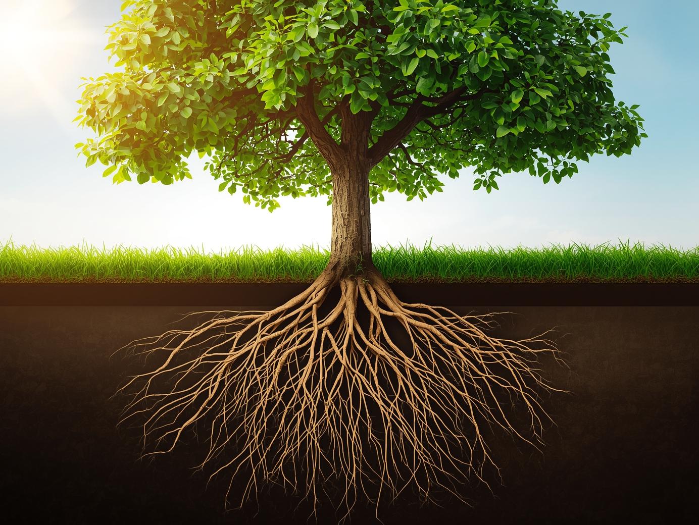 Séjour Sahara — Être Femme d’Influence