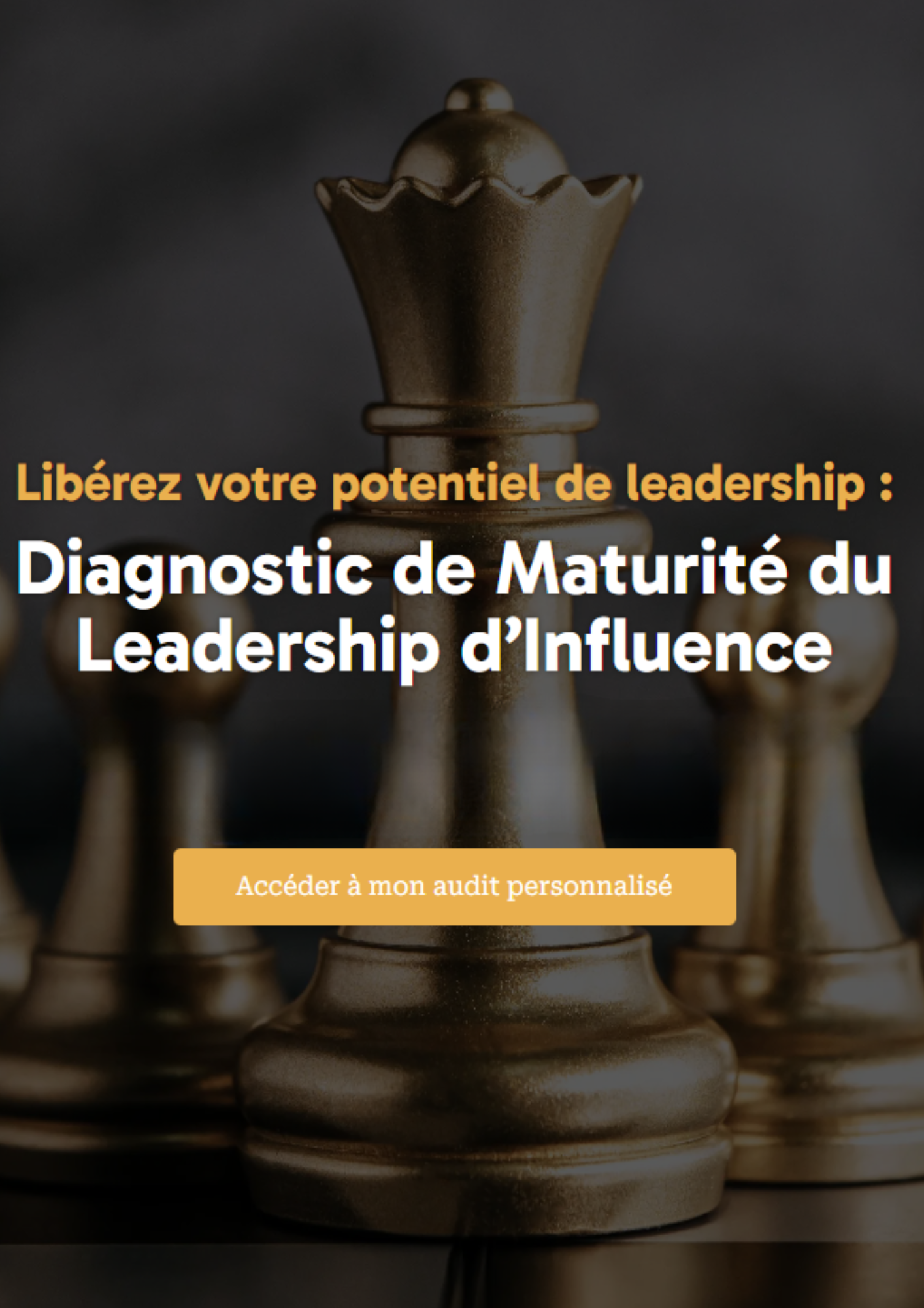 Sophie Hébert-Delaunay — Leadership d’Influence