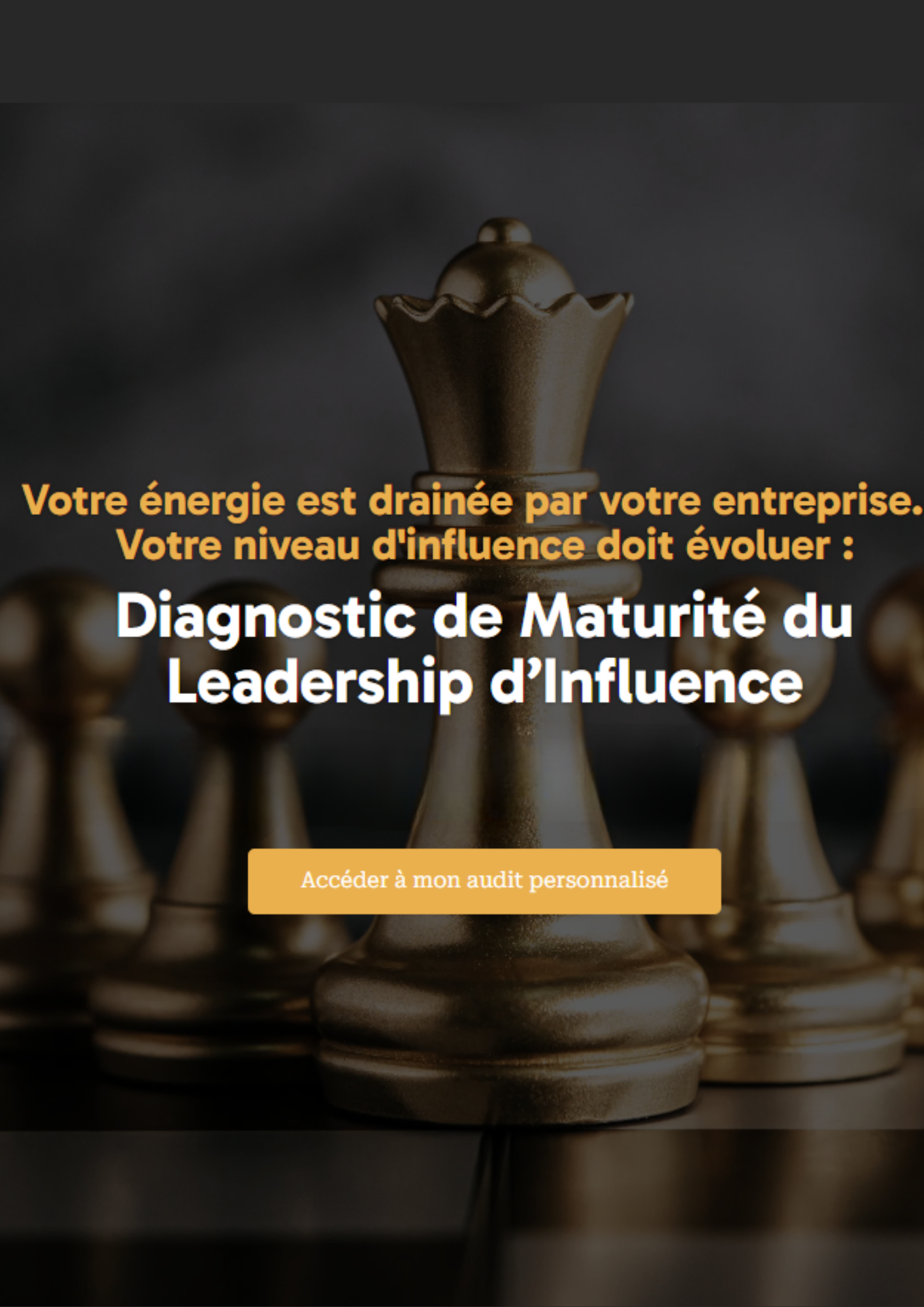Sophie Hébert-Delaunay — Leadership d’Influence
